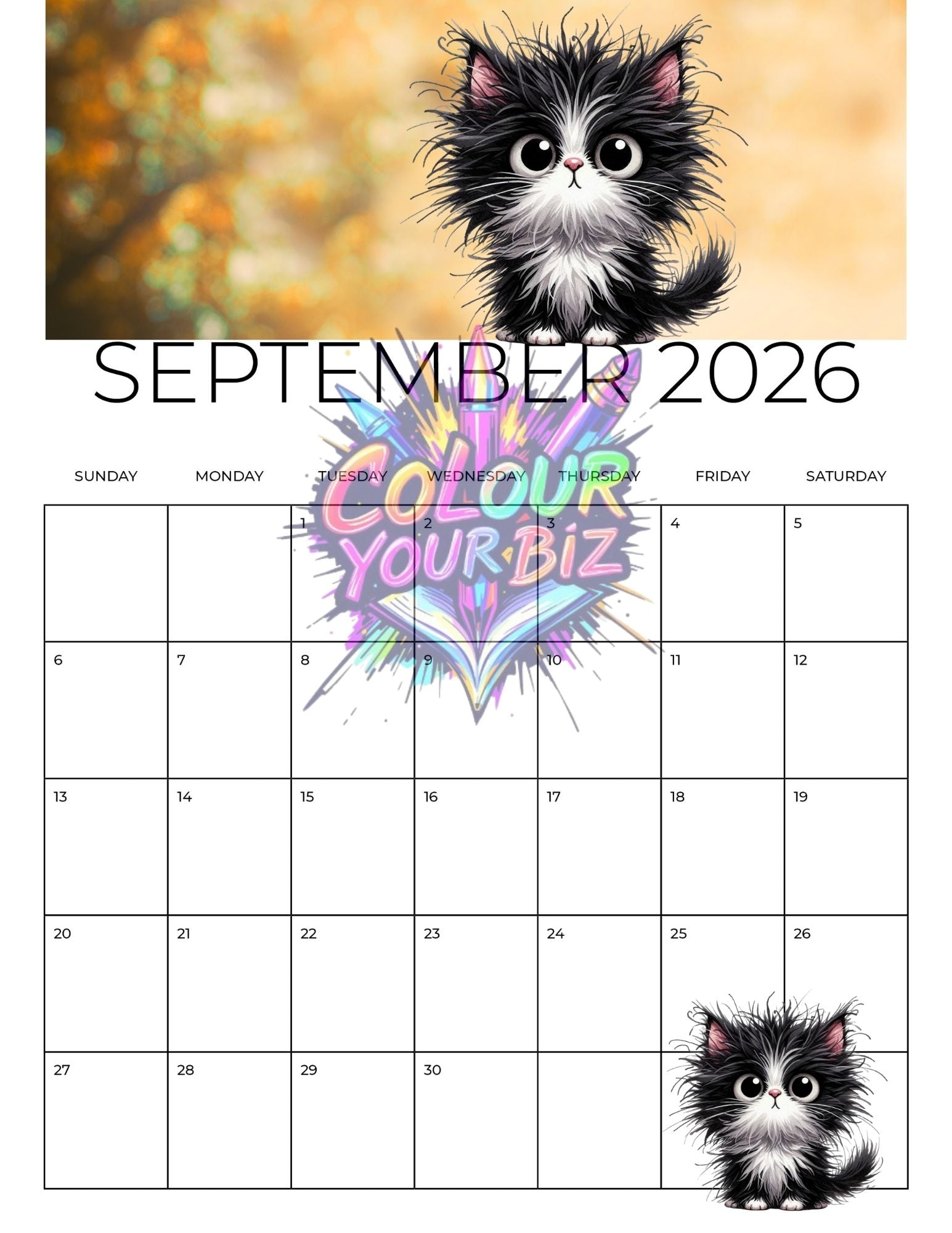 The Funky Cats 2026 Calendar